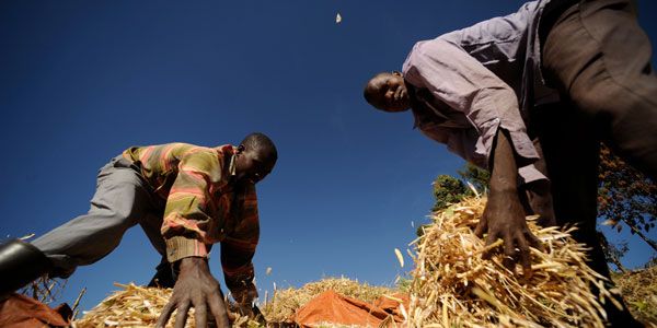 Latest on US Budget and Farm Bill