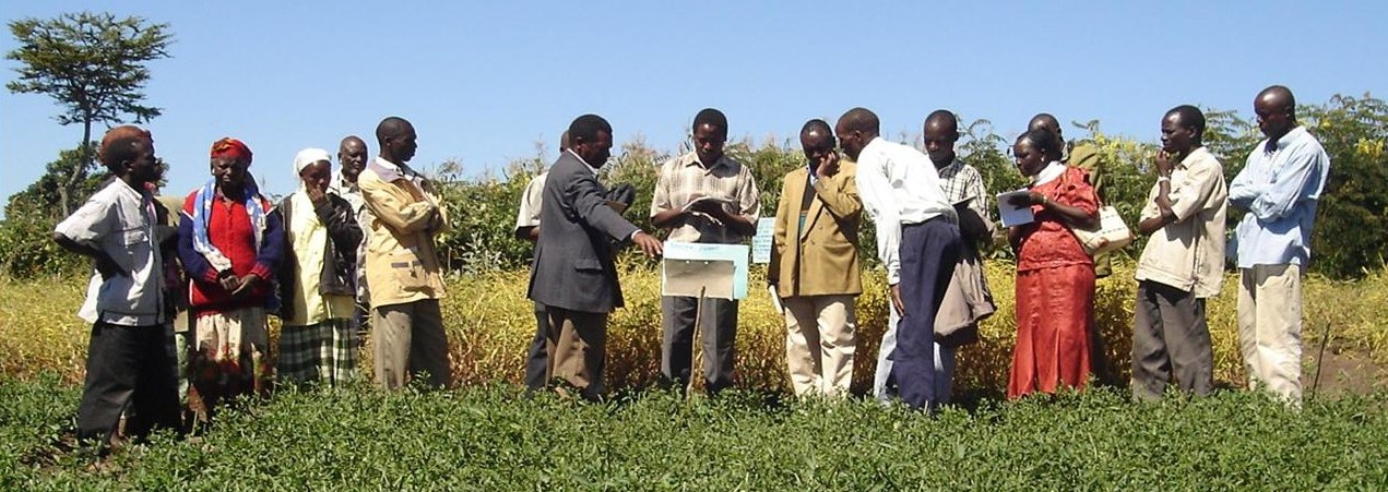 Integrated and Multi-sectoral Rural Development