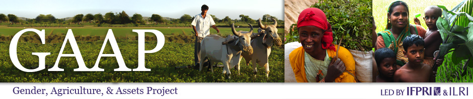 Closing the Gender Asset Gap: Learning from Value Chain Development in Africa and Asia (IFPRI)