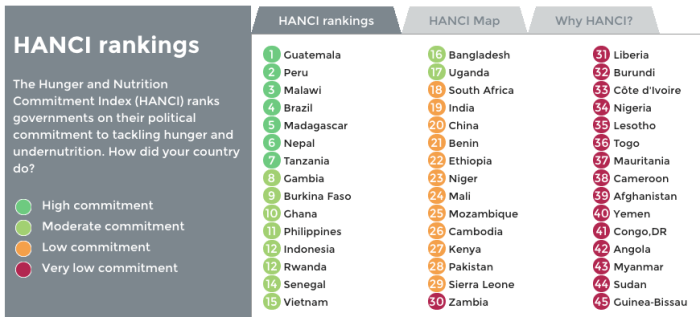 hanci13