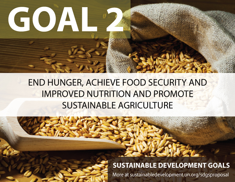 Benefits and Costs of the Food and Nutrition Targets for the Post-2015 Development Agenda