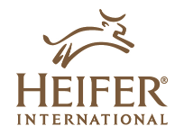 Heifer150