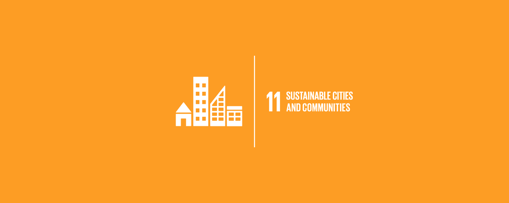 SDSN Report for Sustainable Settlements