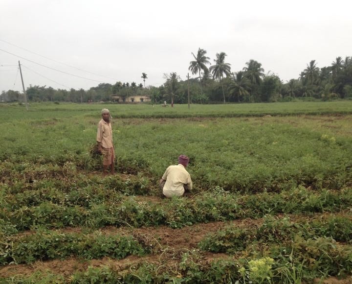 The Role of the Small-Scale Farmer in Minimizing Climate Change Impact