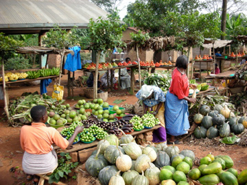 Decentralization: The Key to Local Development