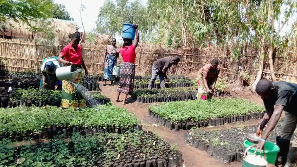 MCLD Malawi’s Local Climate Action