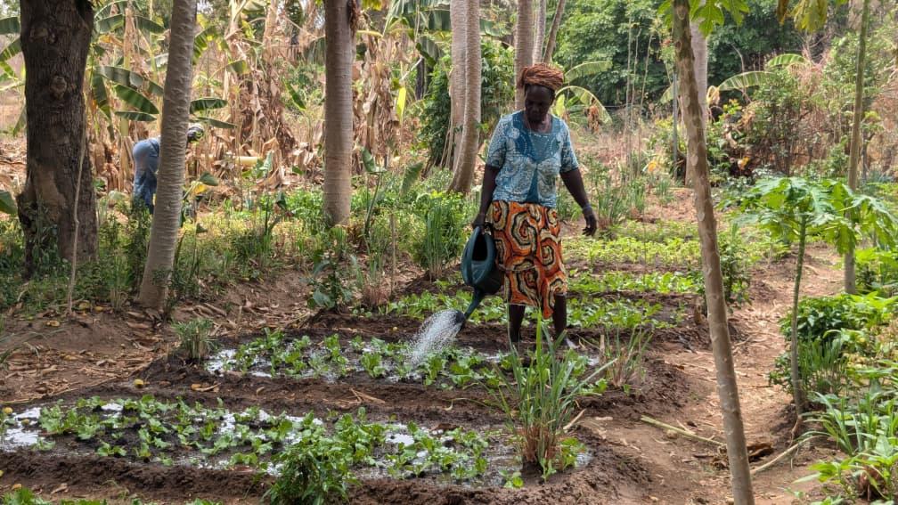 In N’Dali, Women Are Already Sowing the Seeds of Tomorrow’s Climate Solutions